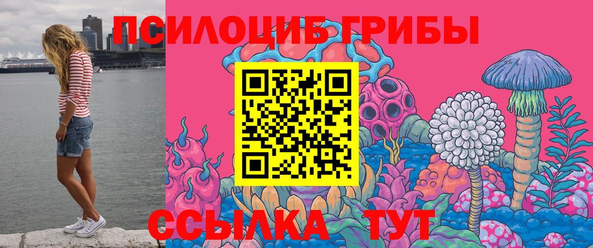 Псилоцибиновые грибы Psilocybine cubensis  Галлюциногенные грибы MAGIC MUSHROOMS  Рыбинск  Вход с VPN 