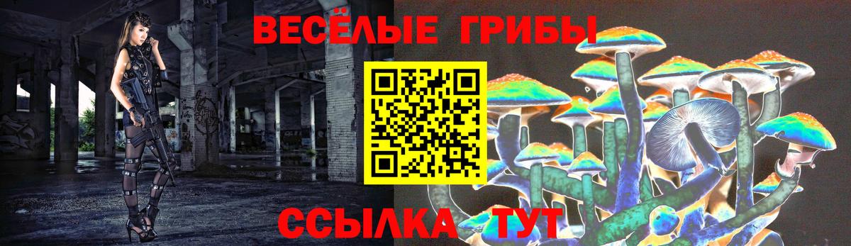 Псилоцибиновые грибы Magic Shrooms Рыбинск